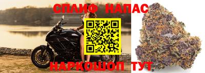 скорость Аргун