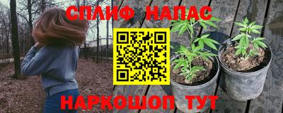скорость Аргун