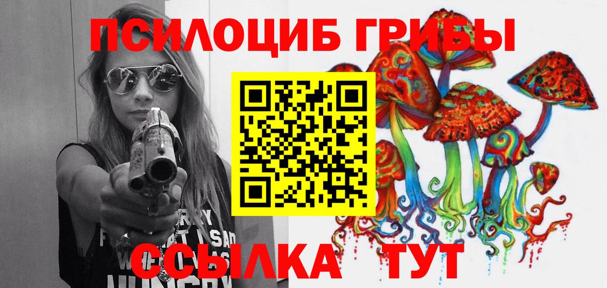 купить   Вход с VPN  Братск  Псилоцибиновые грибы GOLDEN TEACHER 